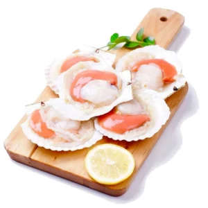 my-11134207-7qul8-lj8ba8oywnd20b-1.webp Half shell scallop 冻半壳虾夷扇贝/带卵半壳扇贝-1KG (10/12cm)