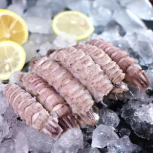 my-11134207-7r98o-lyx8dg1v7w4p97.webp frozen Mantis Prawn Meat /速冻大白本地虾蛄肉 (500g per pack )